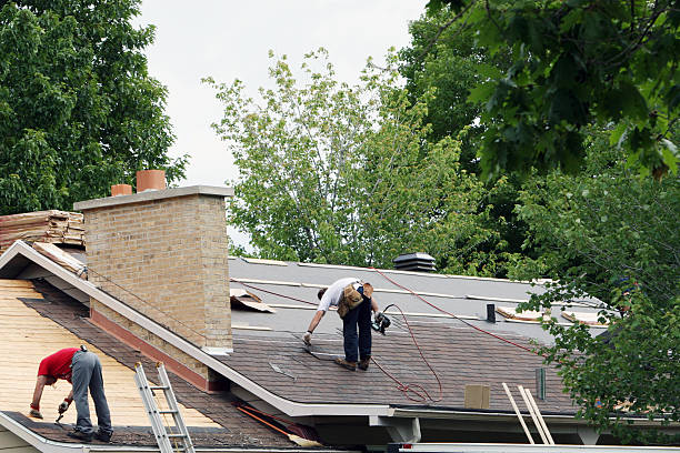 Best Roof Gutter Cleaning  in Manito, IL