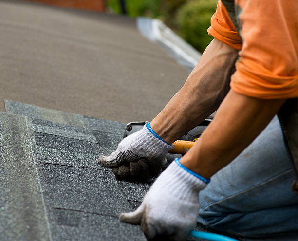 Best Residential Roof Replacement  in Manito, IL
